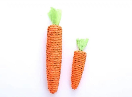 Carrot toys (2 Sizes)