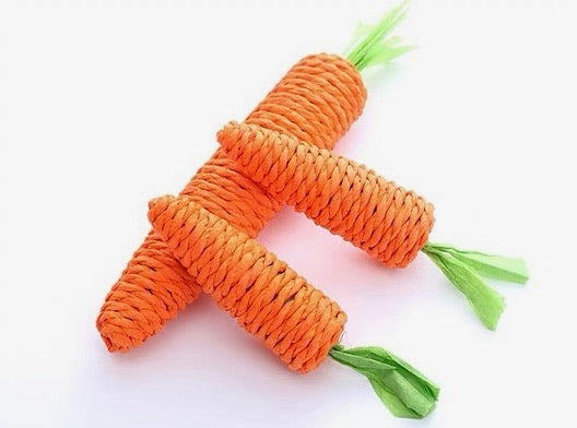 Carrot toys (2 Sizes)